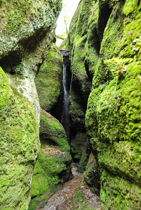 An image depicting the trail Wartburgblick and Drachenschlucht via Lutherweg and its surrounding area.