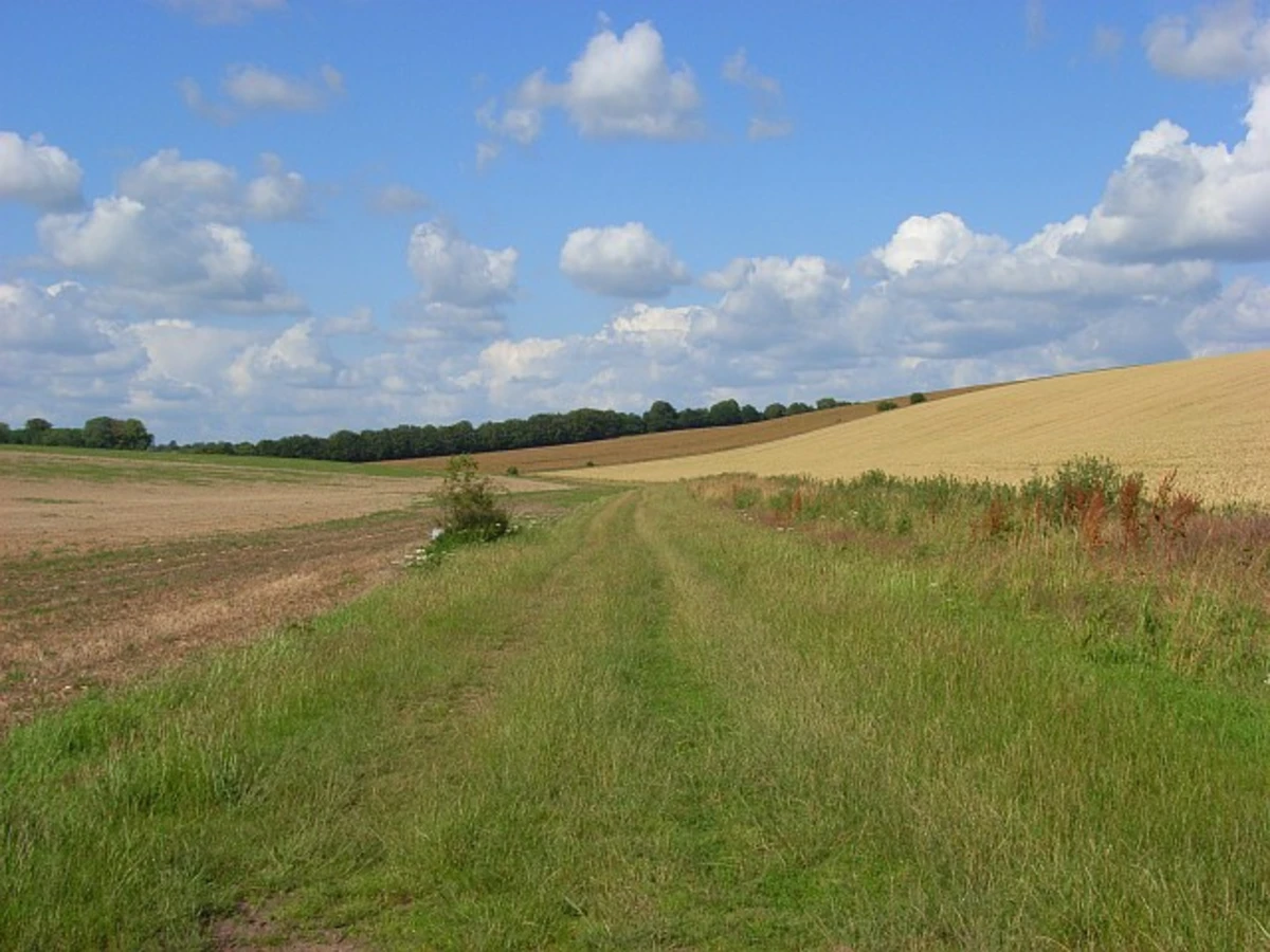 Salisbury to Stonehenge Walk