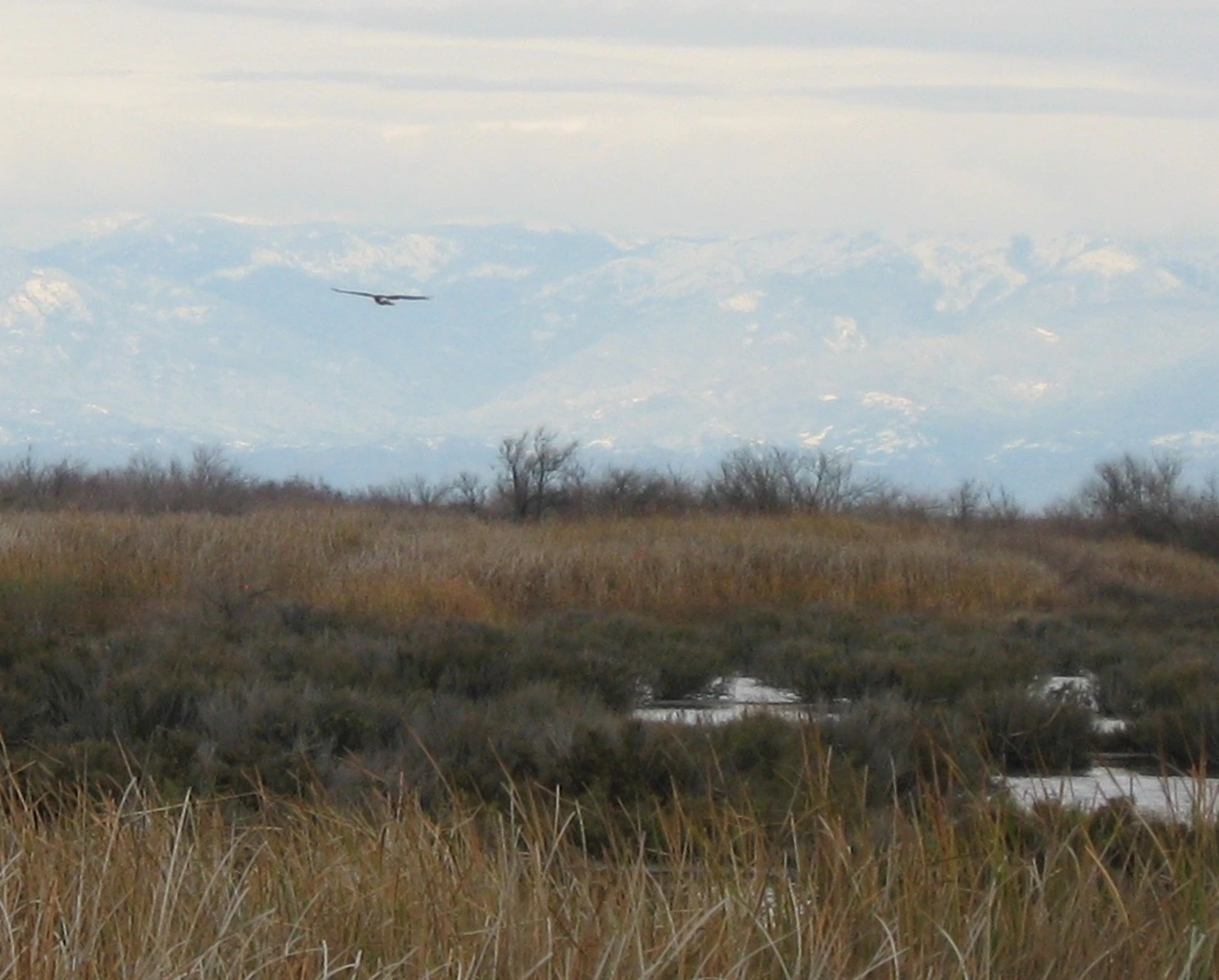 An image depicting the trail Garces Highway Loop and its surrounding area.