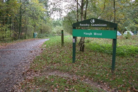 Haugh Wood and Raid Deep Wood via Ribble Way