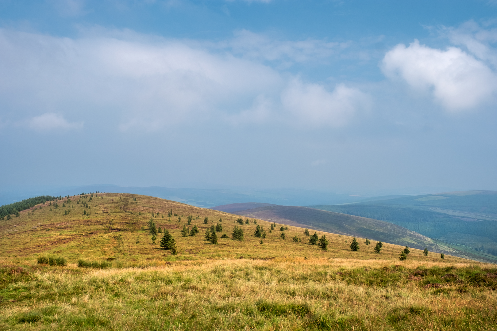 An image depicting the trail Ballinafunshoge - Mountain Access Trail and its surrounding area.