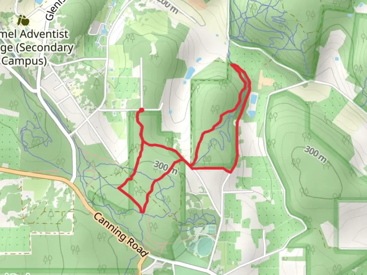 An image depicting the trail Carmel Walk and its surrounding area.