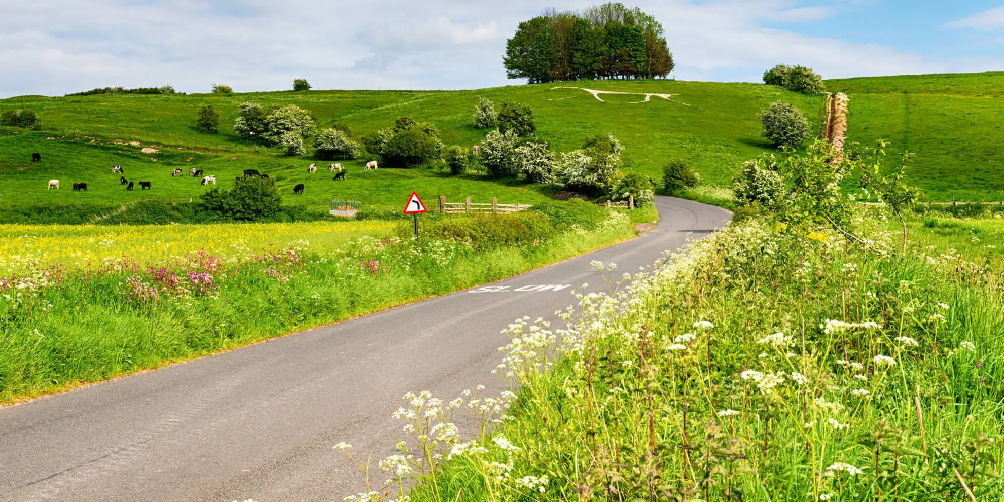 An image depicting the trail Hackpen Hill and Overton Down from Avebury and its surrounding area.