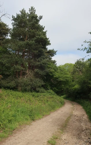 Cley Spy Circular Bird Walk