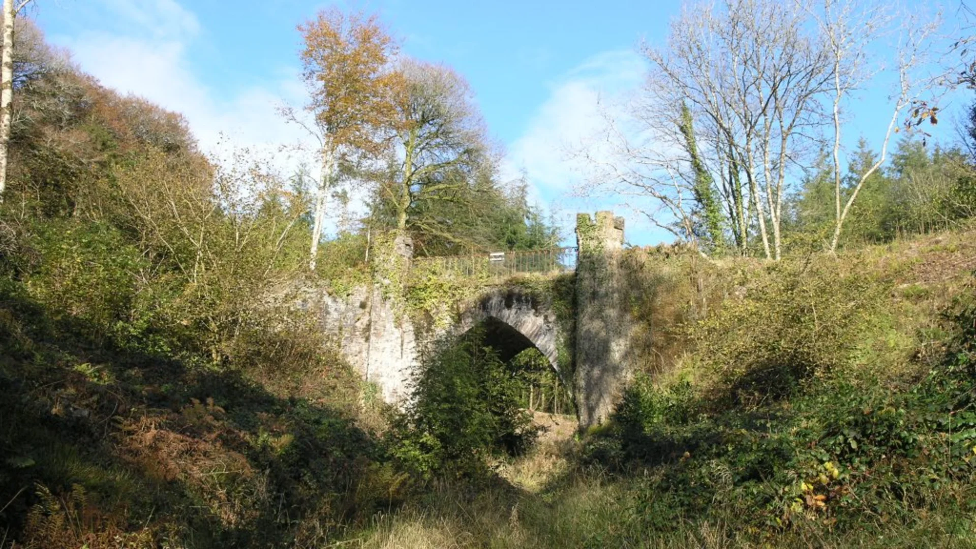 An image depicting the trail Glenbower Woods Blue Trail and its surrounding area.