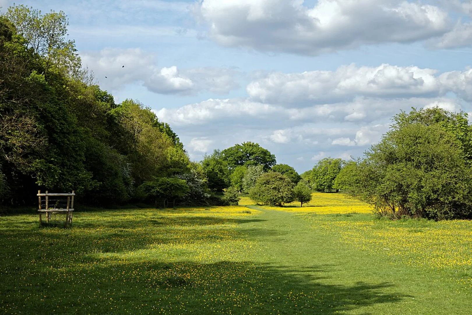 An image depicting the trail Halfield Forest and Flitch Way Country Park and its surrounding area.