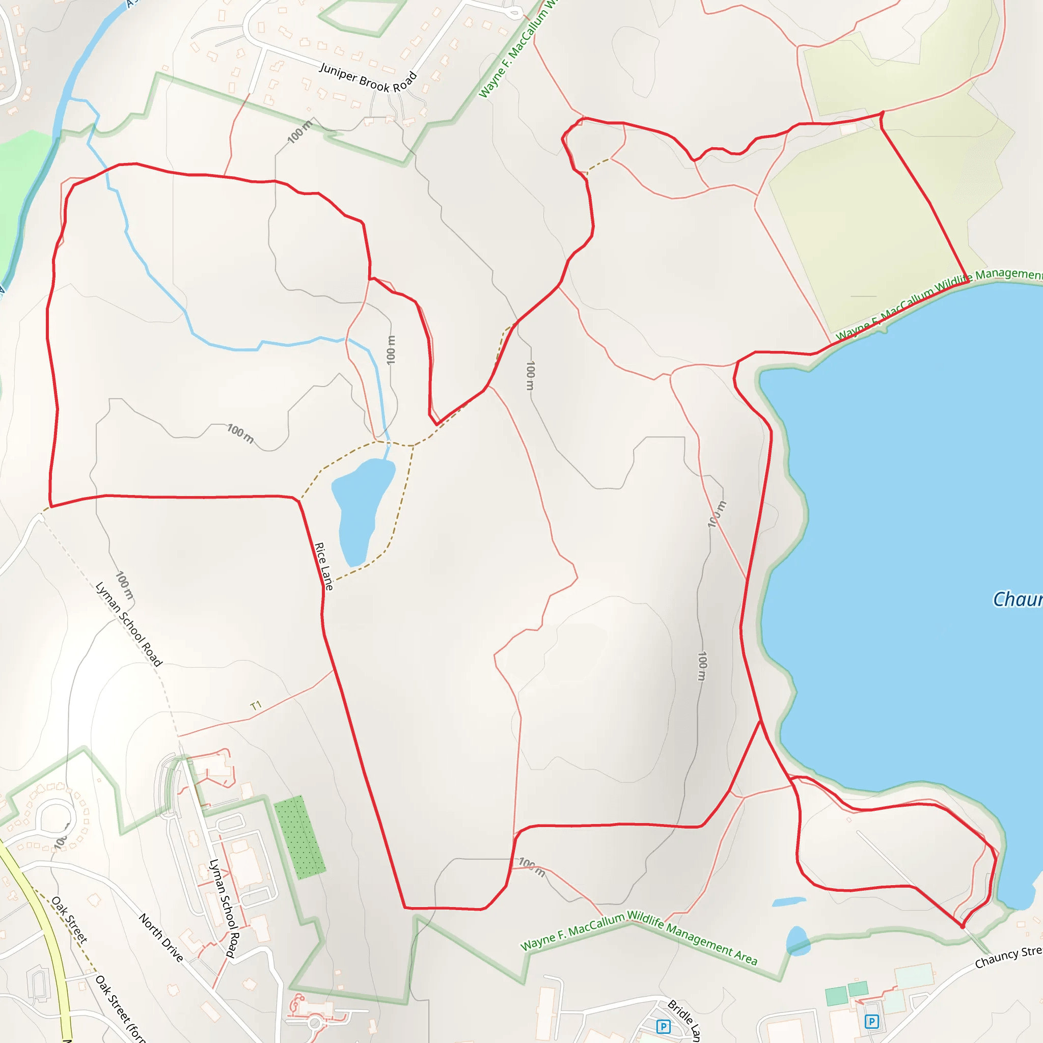 Chauncy Lake Loop mobile static map