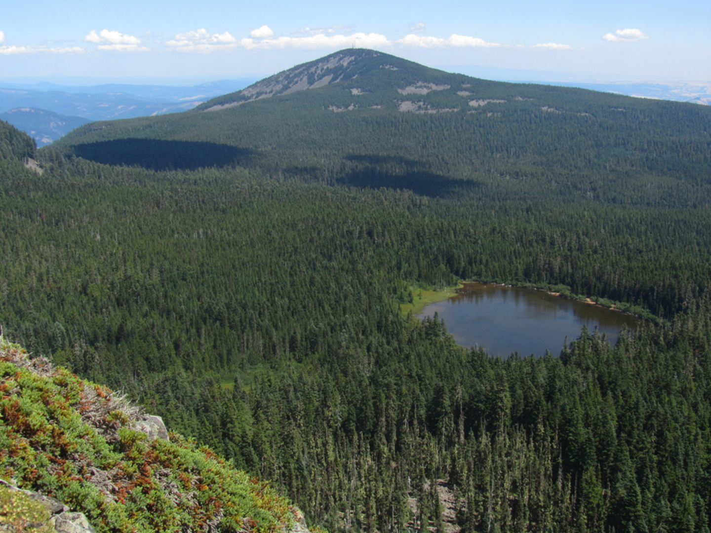 An image depicting the trail Herman Cutoff Trail via Rainy Wahtum Trail and its surrounding area.