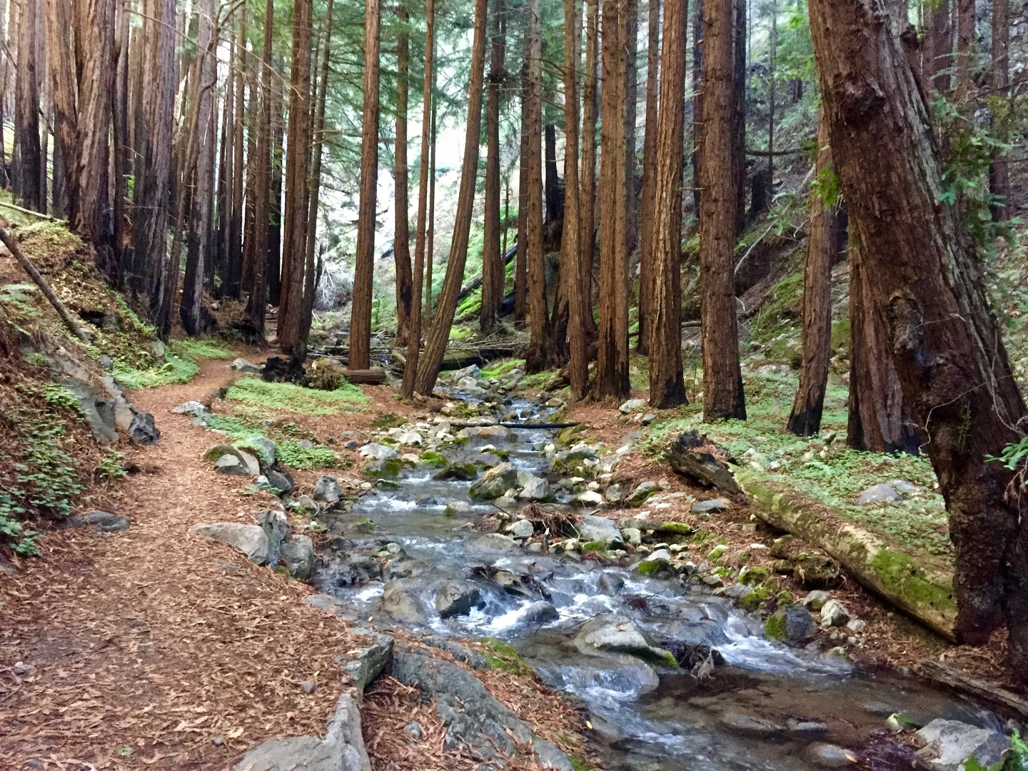 An image depicting the trail Vincente Flat, Stone Ridge and Twitchell Elevator Horseshoe Trail and its surrounding area.