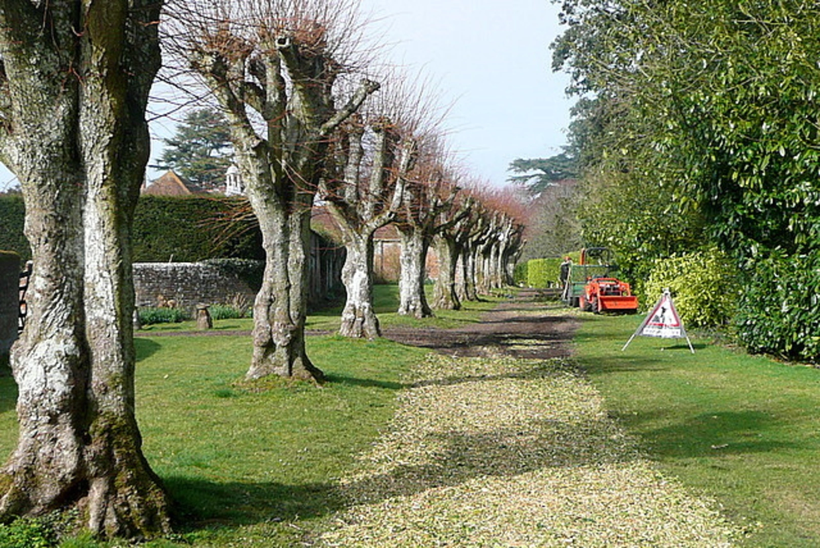 An image depicting the trail Plantation Hill and Sydmonton Loop and its surrounding area.
