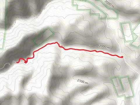 Walk along Mineral Creek