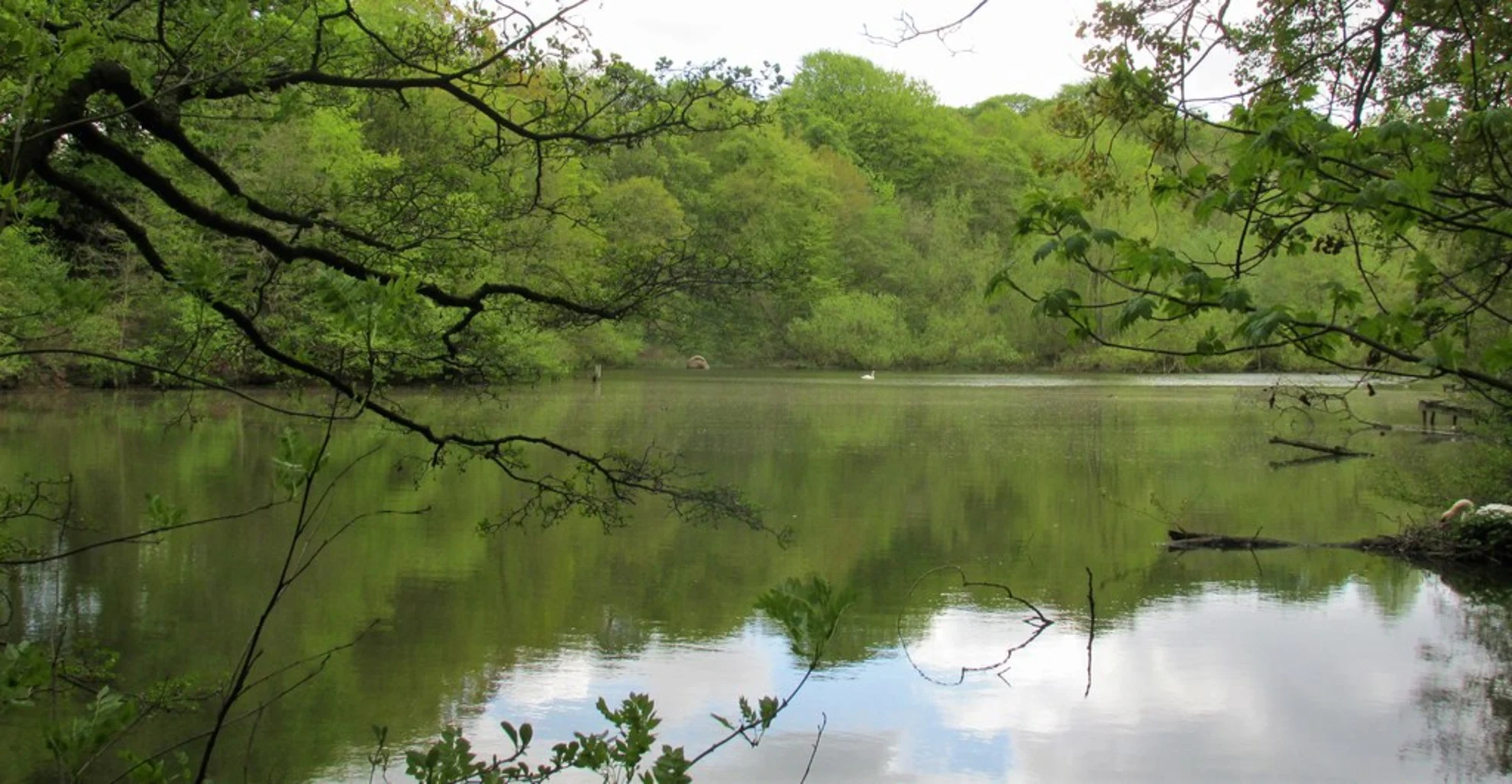 An image depicting the trail Shadwell to Scarcroft Loop and its surrounding area.