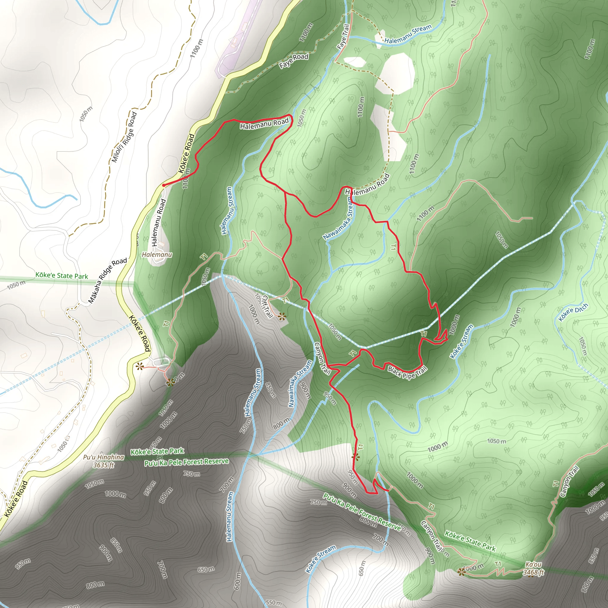 Canyon and Black Pipe Loop Trail mobile static map