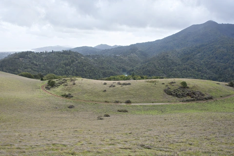 Bald Hill from Ross Open Space