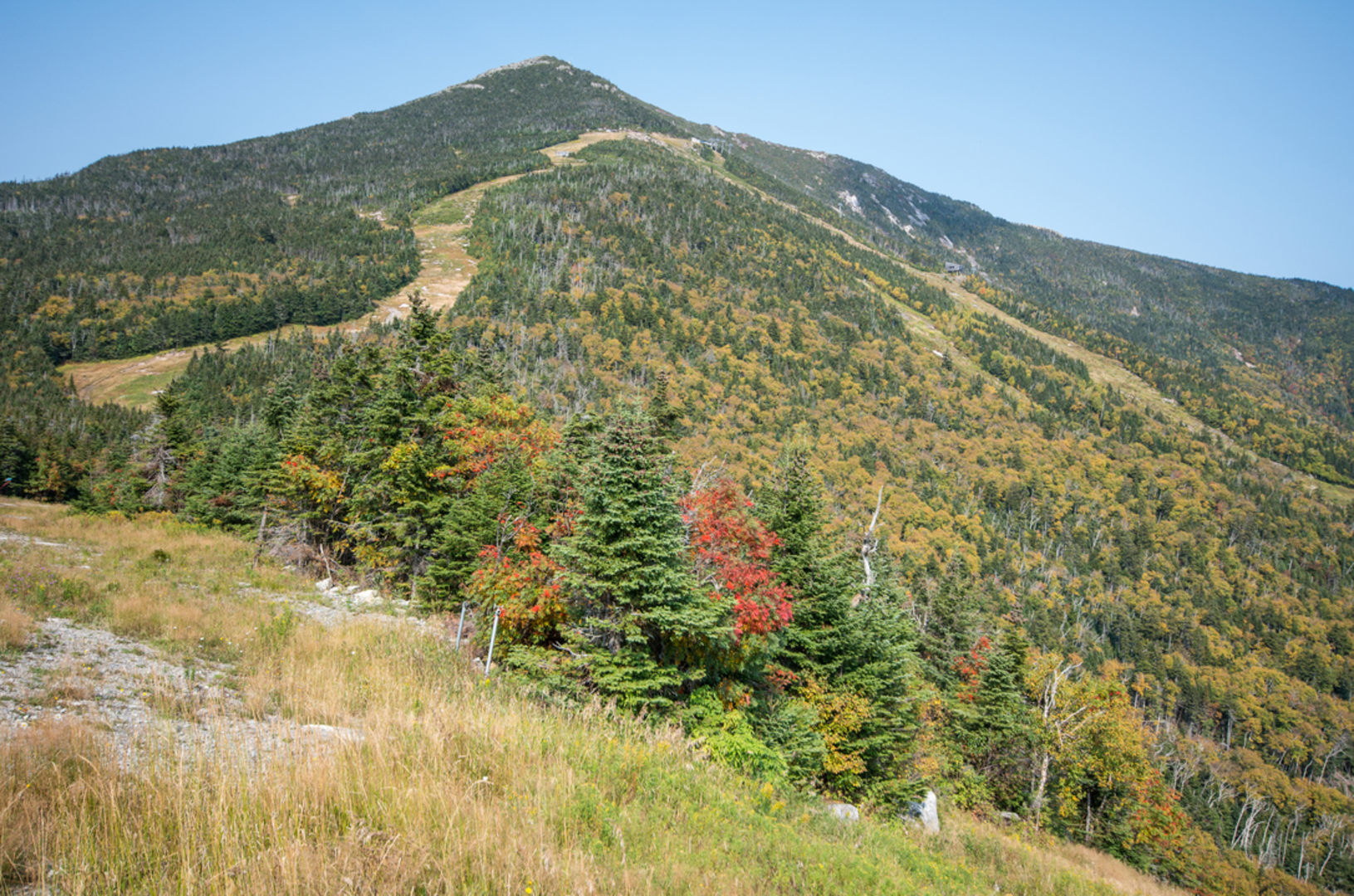 An image depicting the trail Little Whiteface Mountain from Whiteface Base Lodge and its surrounding area.