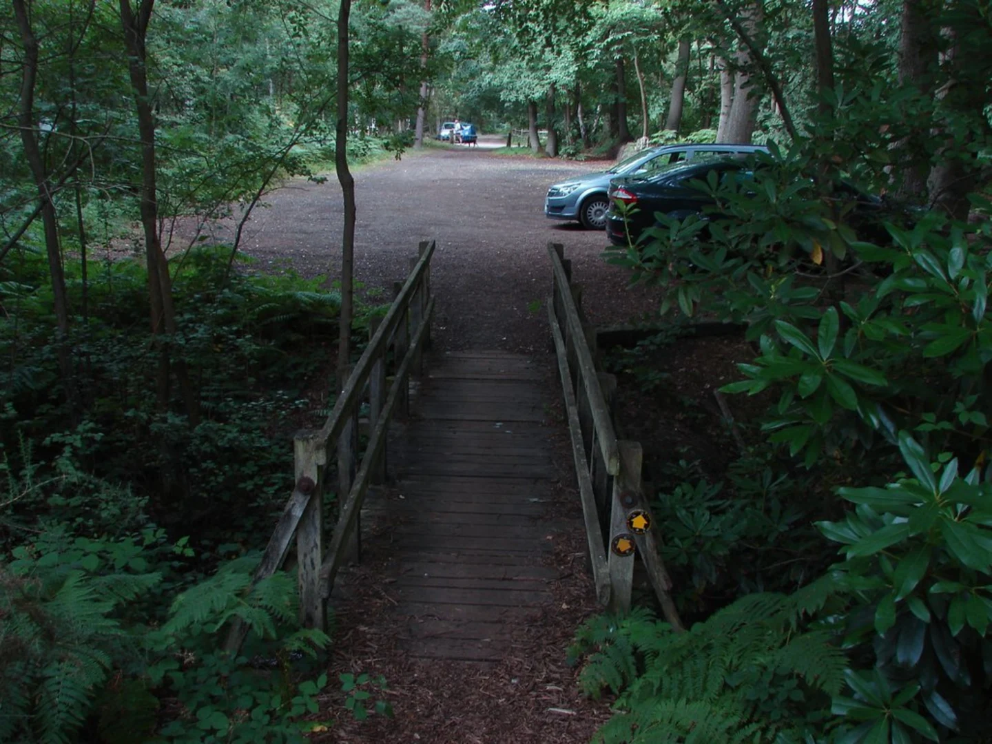 An image depicting the trail Mill Common, Henley Wood and Nore Hill and its surrounding area.