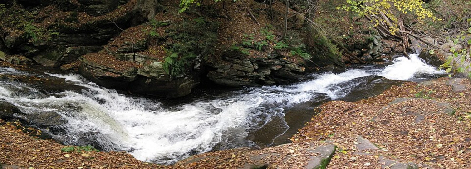 An image depicting the trail Conestoga Falls Trail and its surrounding area.