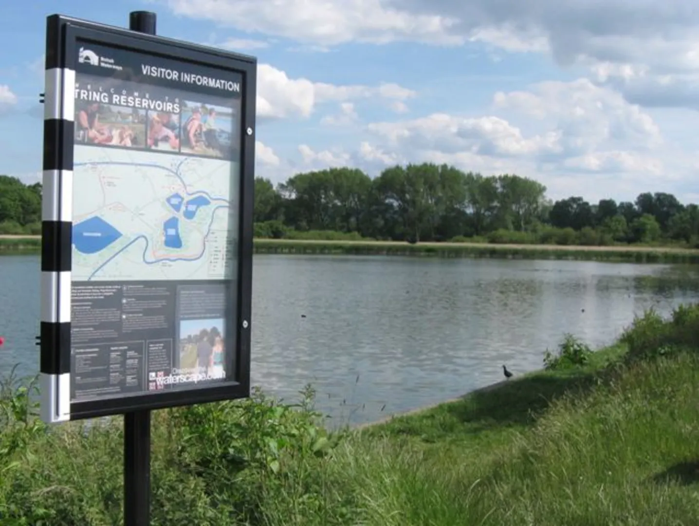 An image depicting the trail Startop's End Reservoir, Tringford Reservoir and Marsworth Reservoir Loop and its surrounding area.