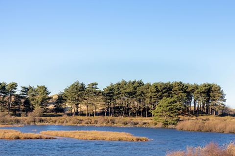 Vogelmeer and Schoorlse Duinen Loop