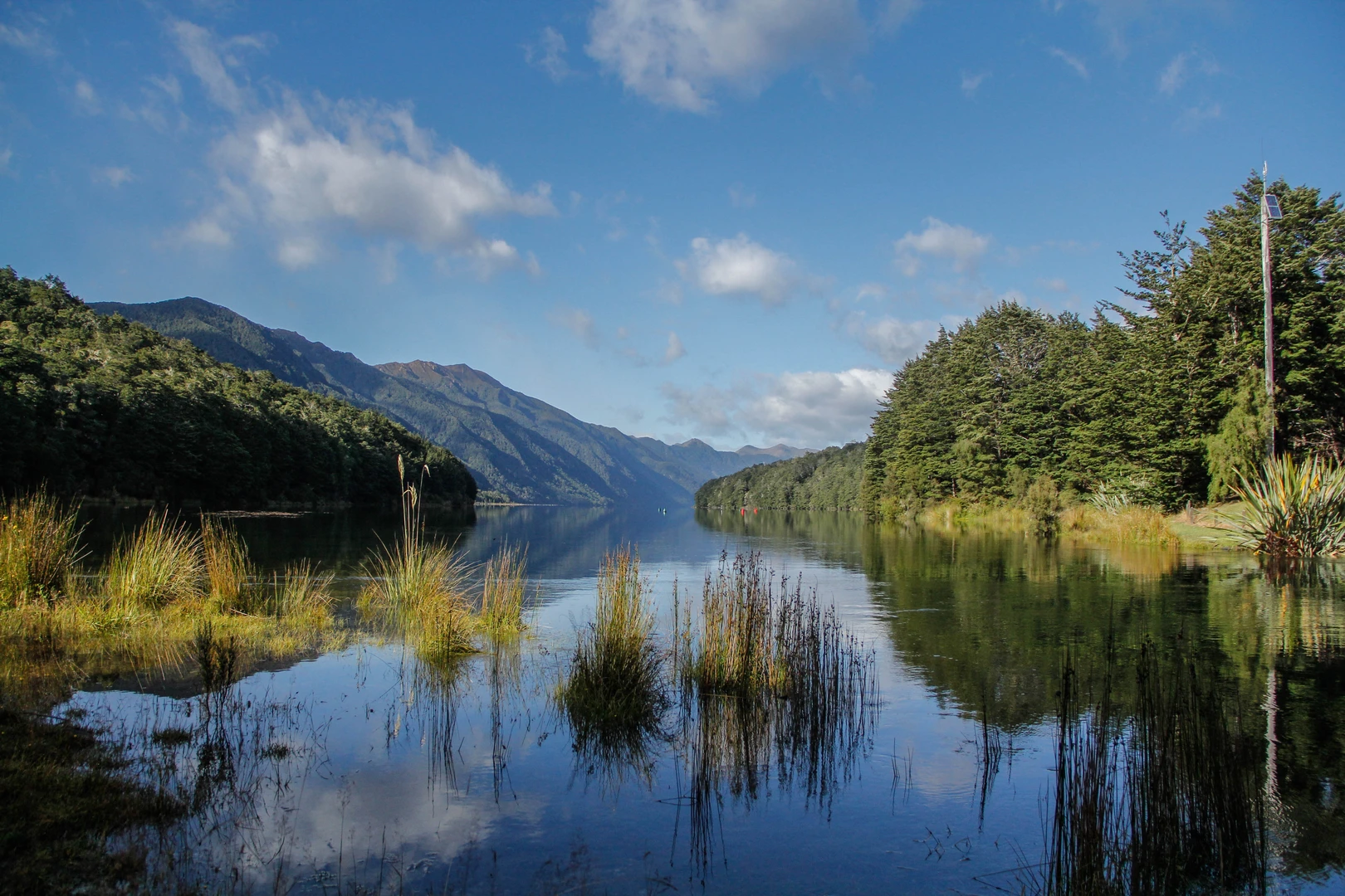 An image depicting the trail Rodger Inlet Track and its surrounding area.