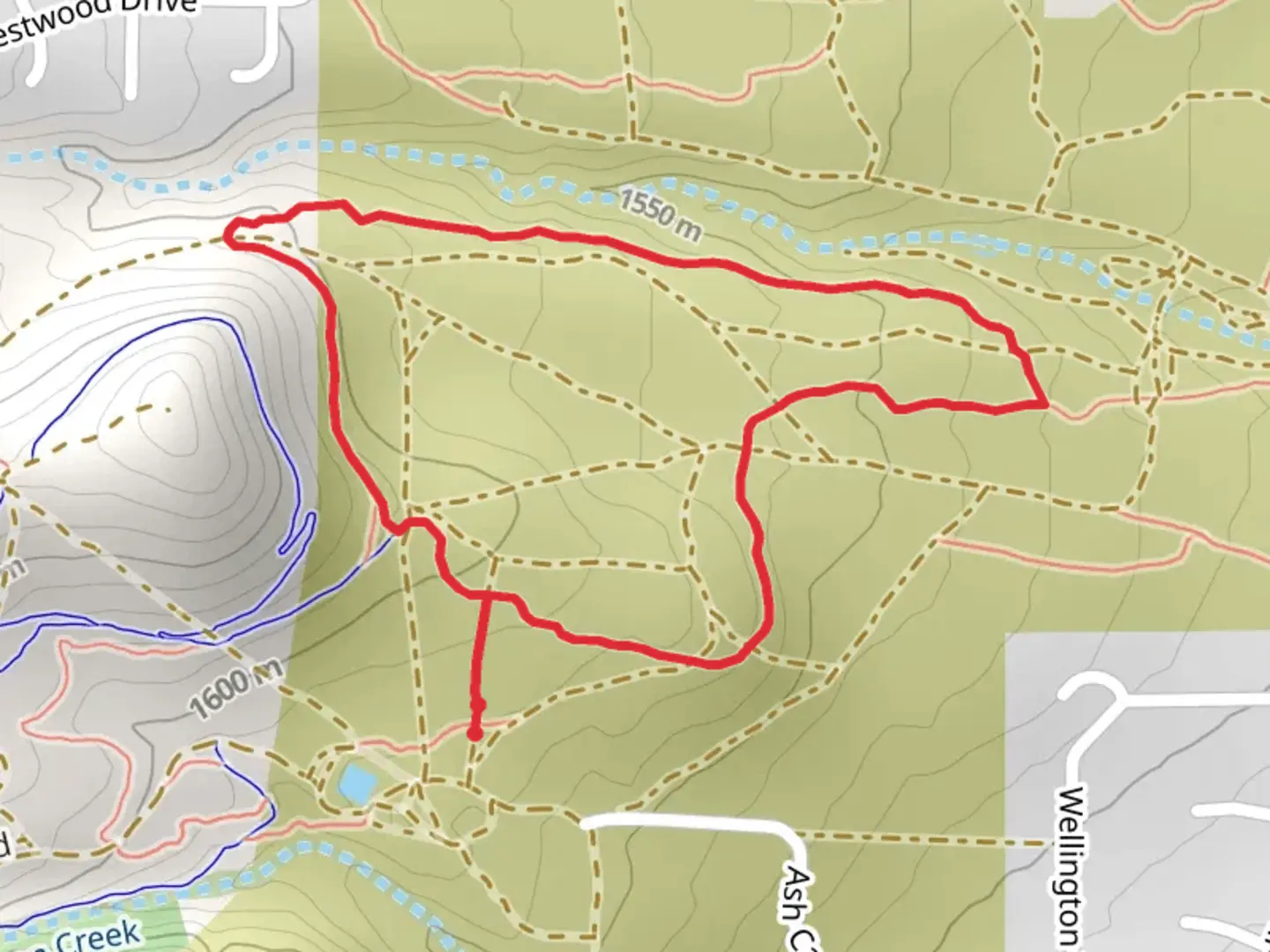 An image depicting the trail Seven Steps and Jack Rabbit Loop and its surrounding area.