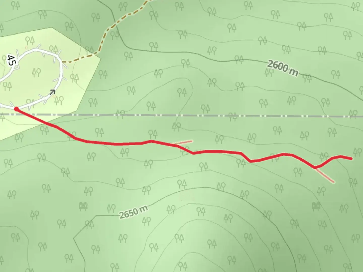 An image depicting the trail Pine Walk and its surrounding area.