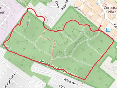 Blueberry Hill East Yellow Trail