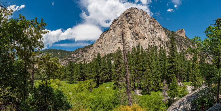 An image depicting the trail Zumwalt Meadow Trail and its surrounding area.