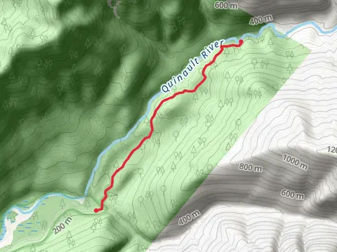 Pony Bridge Camp via East Fork Quinault River Trail