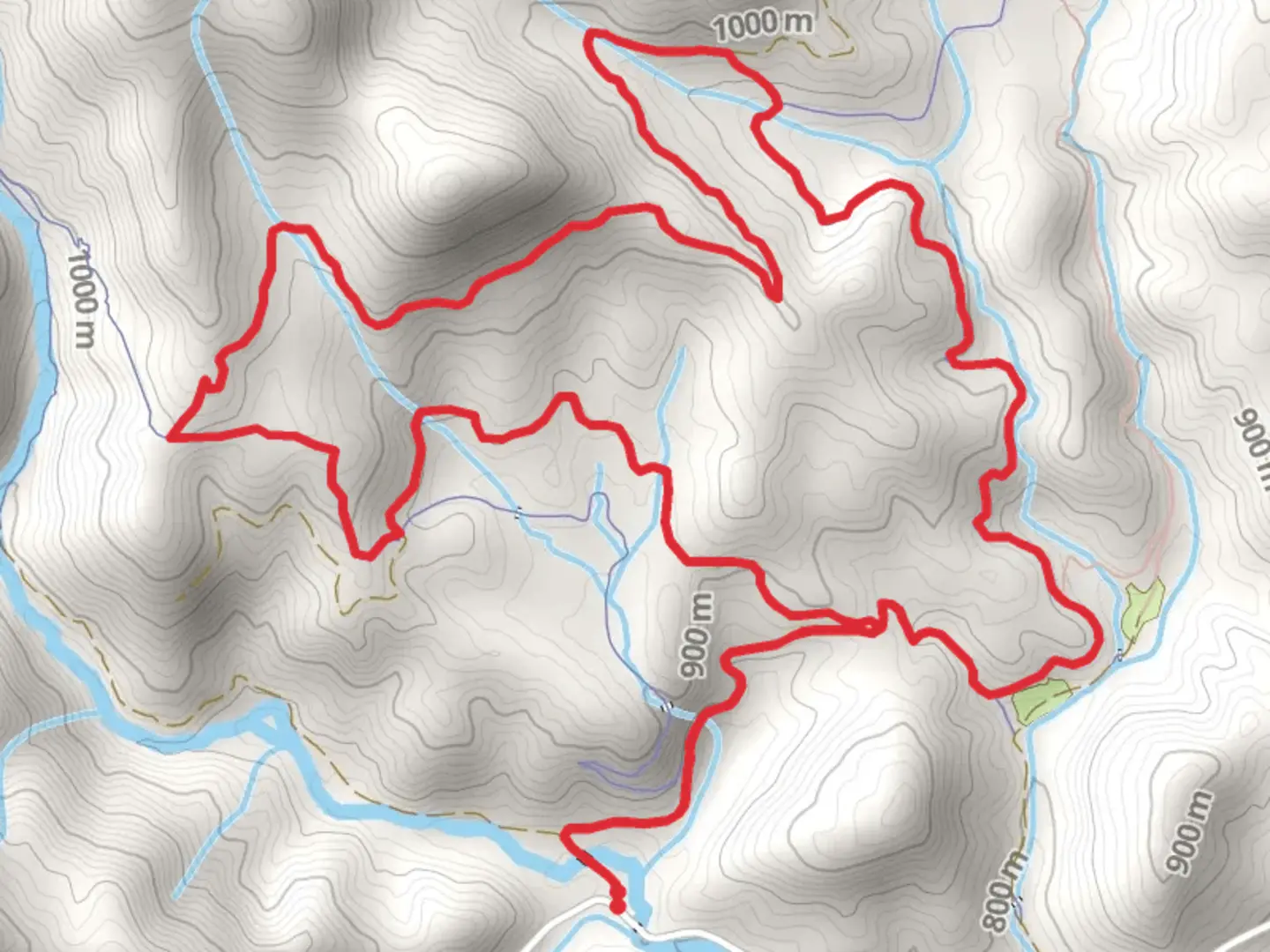 An image depicting the trail Daniel ridge and Cove Creek Loop Trail and its surrounding area.