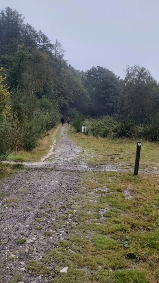 An image depicting the trail Eastridge Woods Loop and its surrounding area.