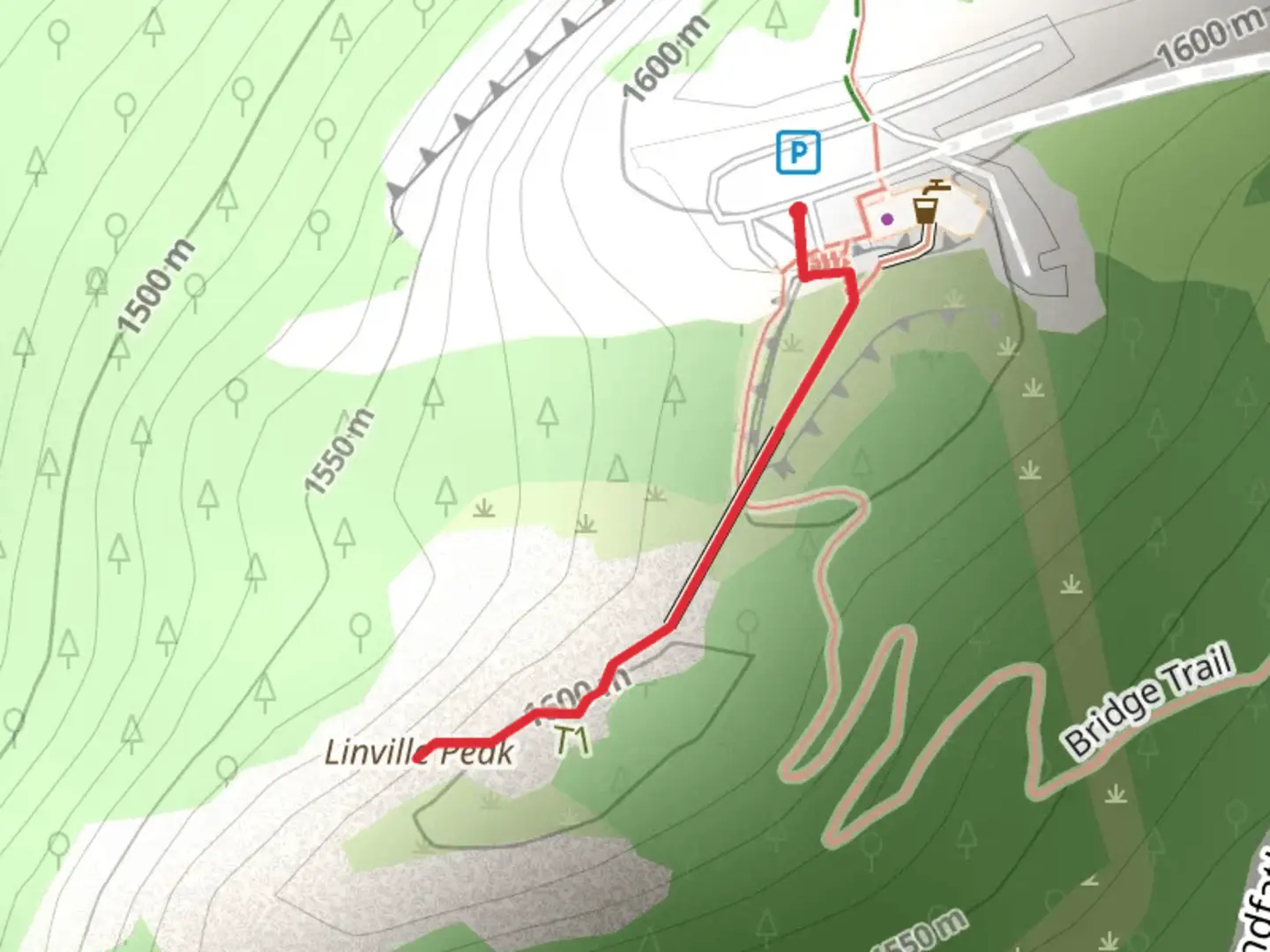 An image depicting the trail Linville Peak and its surrounding area.
