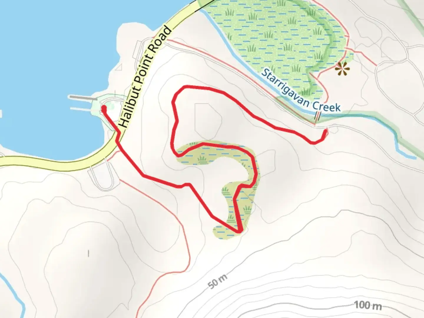 An image depicting the trail Starrigavan Forest and Muskeg Trail and its surrounding area.