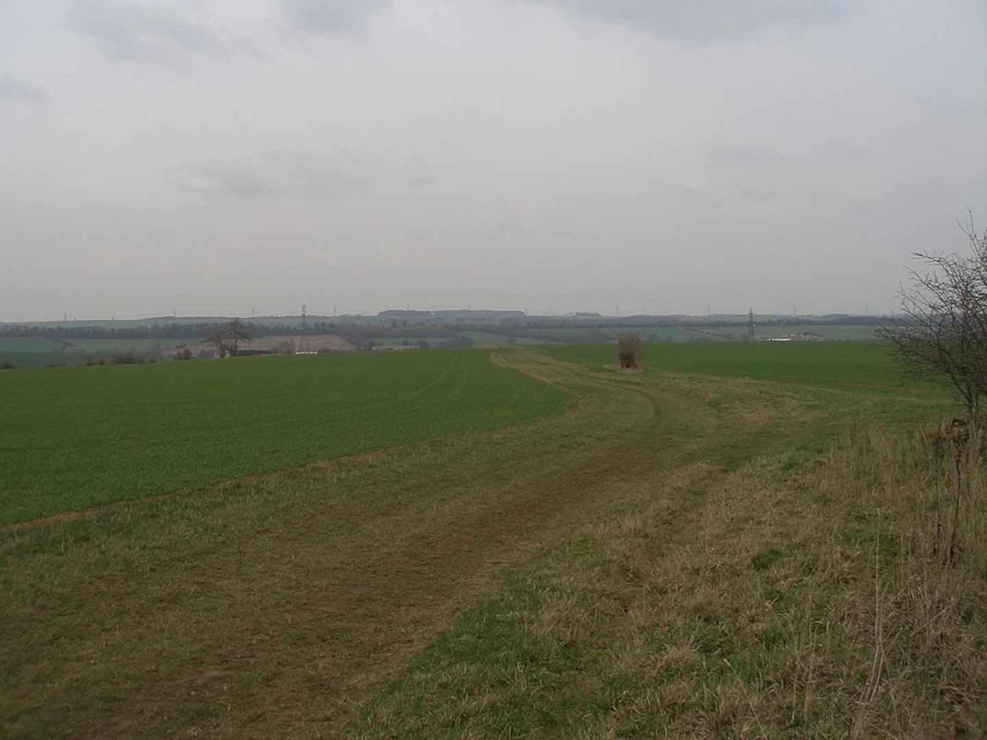 An image depicting the trail Green Hills and Hampole Wood Loop and its surrounding area.