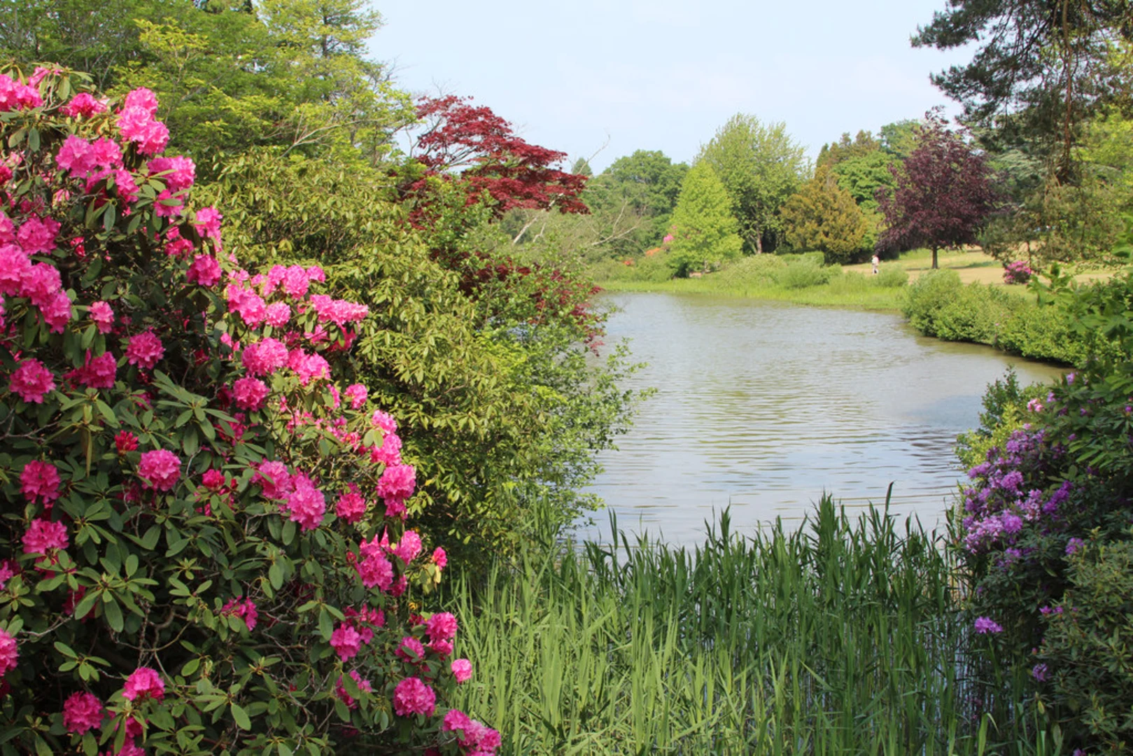 An image depicting the trail Leigh to Edenbridge Walk and its surrounding area.