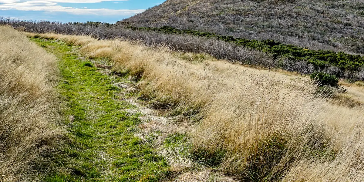 Tara Track to Stony Bay Peak
