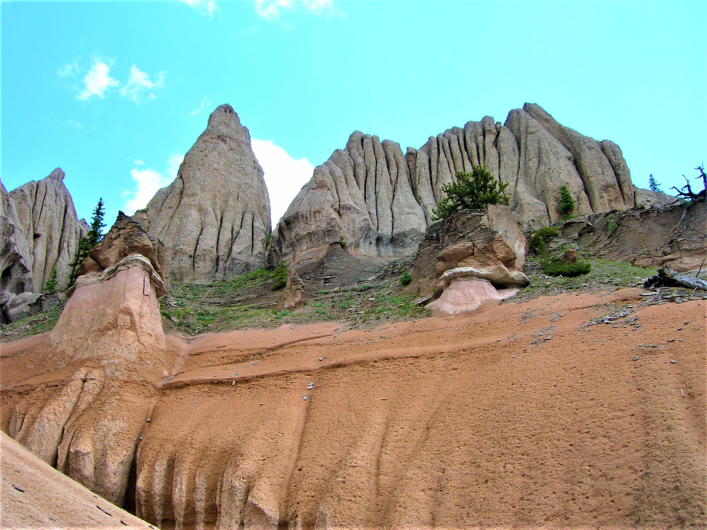 An image depicting the trail Farmers Creek Trail and its surrounding area.