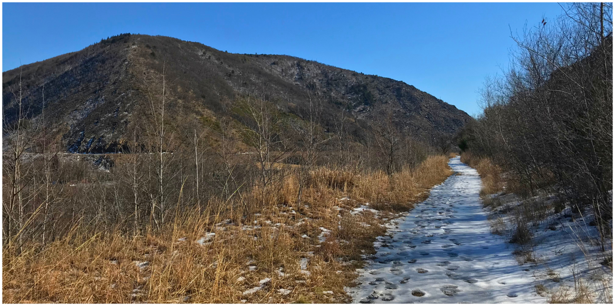 An image depicting the trail Lehigh Gap Nature Center Loop and its surrounding area.