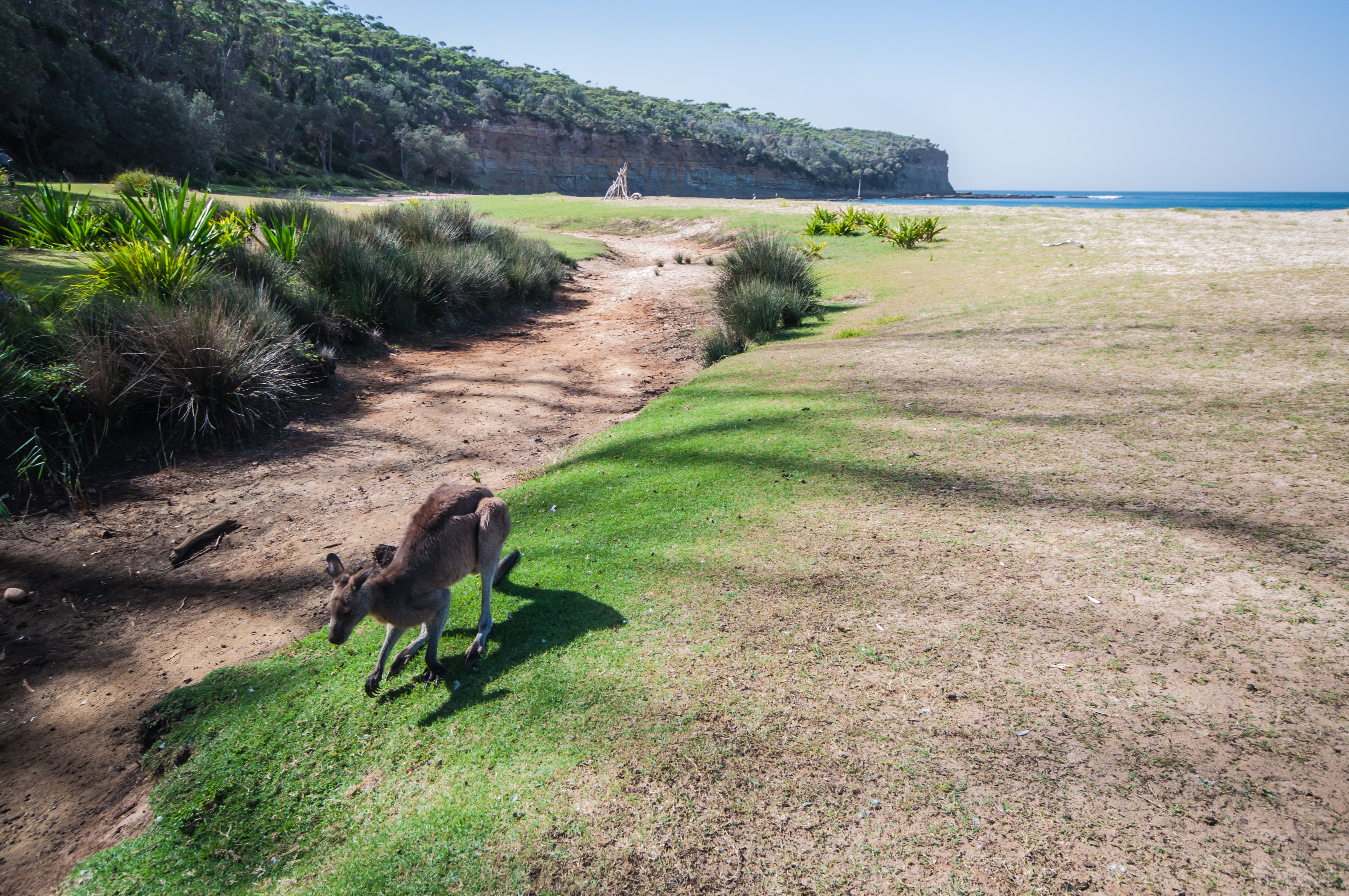 An image depicting the trail Murramarang National Park and its surrounding area.