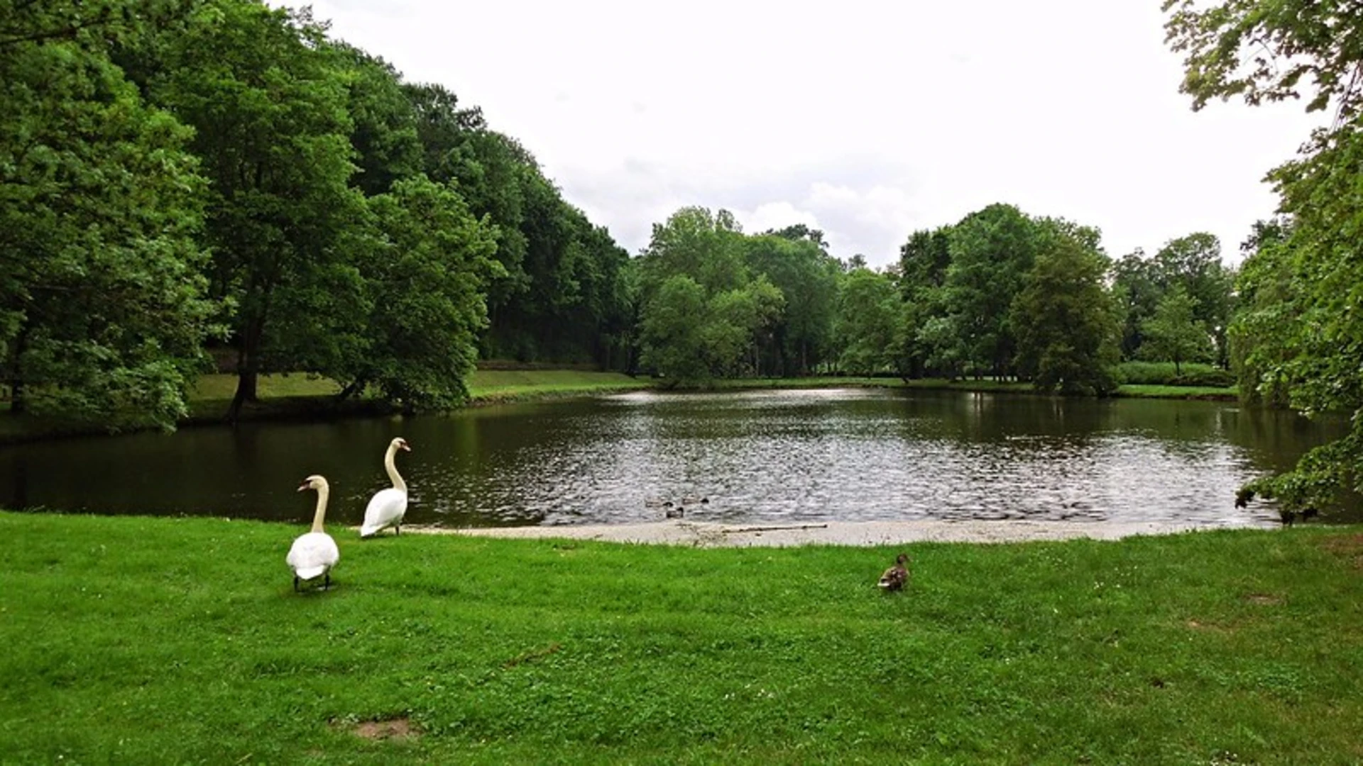 An image depicting the trail Braunkohlewald, Kleiner Parkteich and Herfurth Park Loop and its surrounding area.