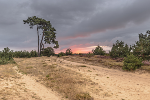 Ganzenpool, Koopmans Veentje and Greenspoele via Wateren