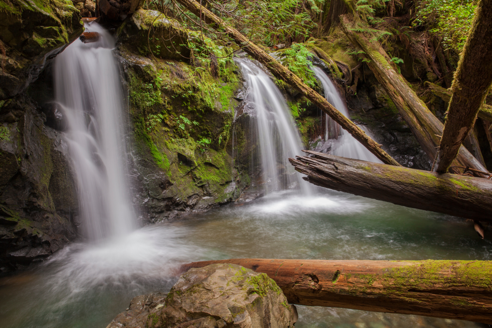 An image depicting the trail Murhut Falls Trail and its surrounding area.
