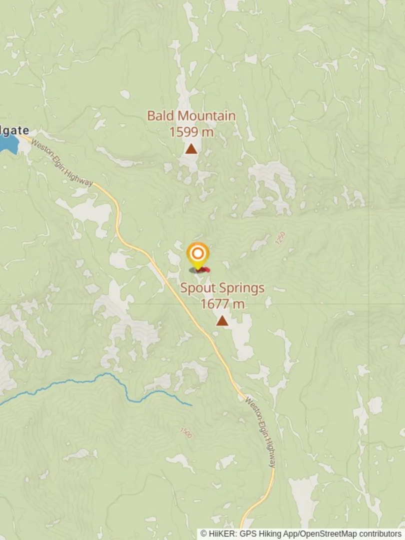 An image depicting the trail National Forest Development Road 062 and its surrounding area.