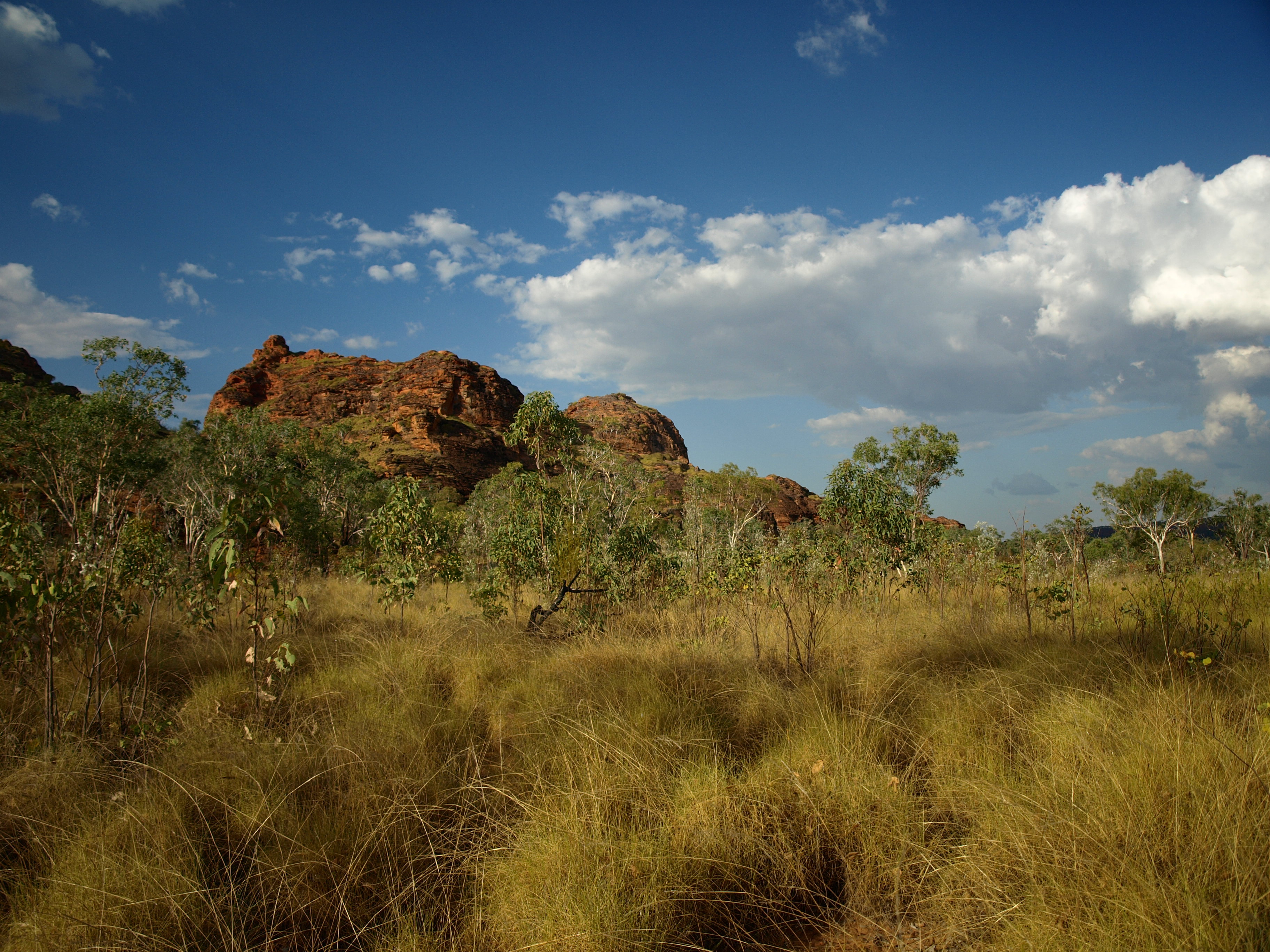 An image depicting the trail Keep River National Park and its surrounding area.
