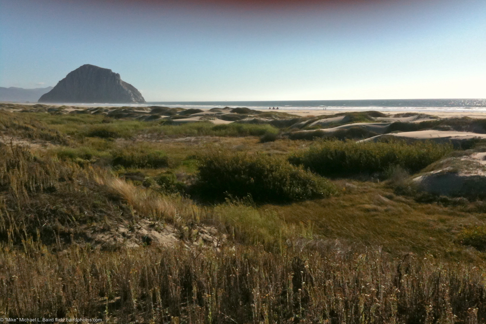 An image depicting the trail Morro Dunes Natural Preserve Beach and its surrounding area.