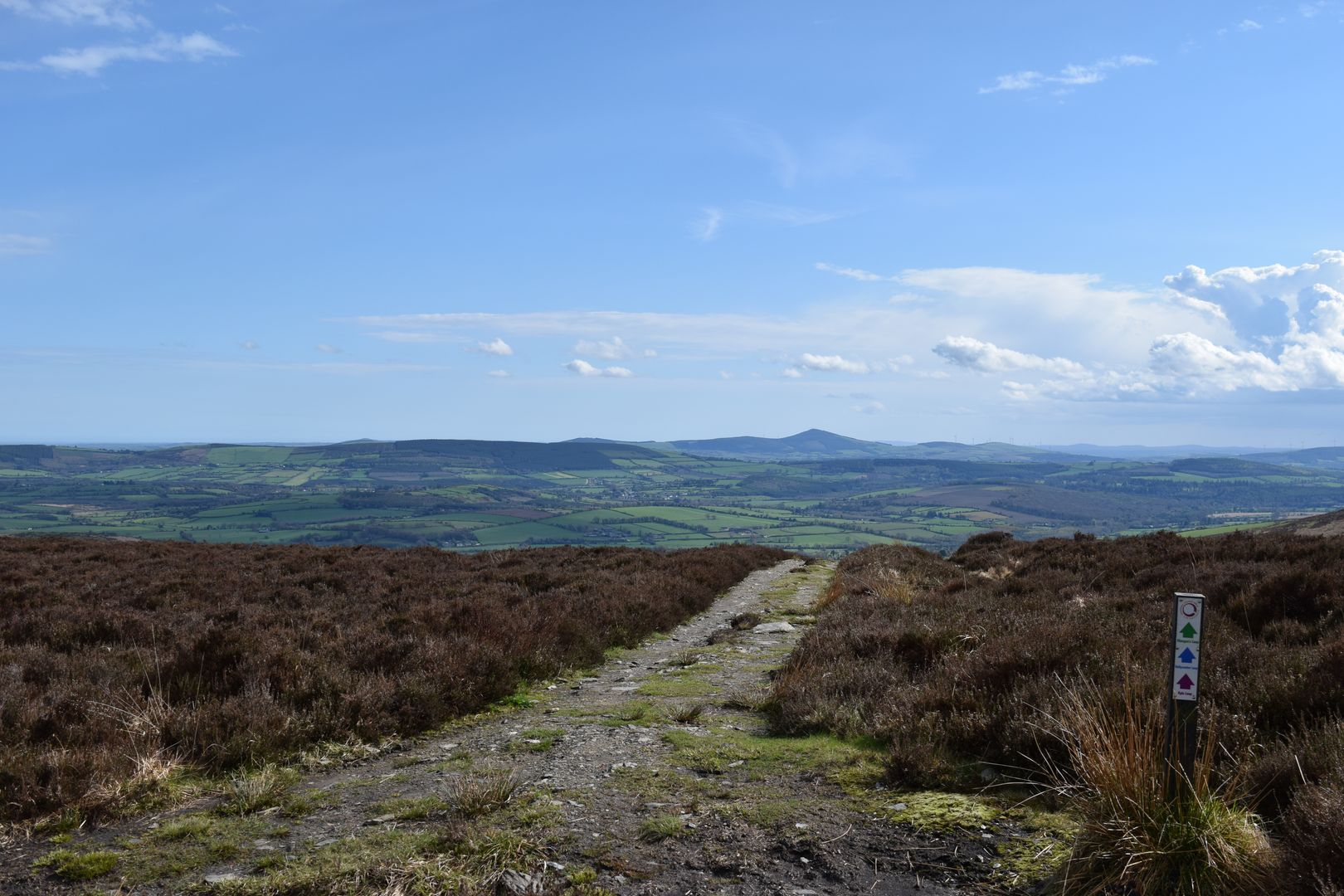 An image depicting the trail Kyle Loop and its surrounding area.