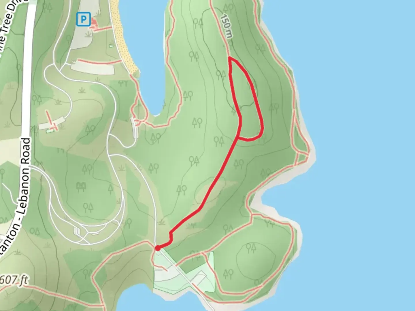 An image depicting the trail Pine Tree Trail - Green and its surrounding area.