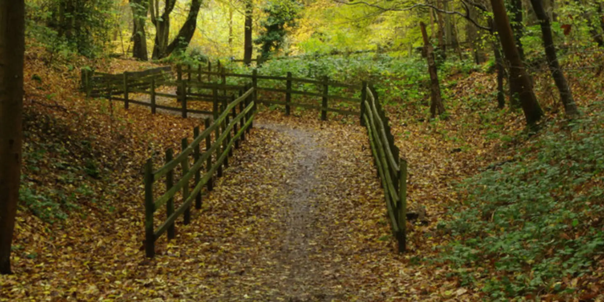 An image depicting the trail Ayot Green Circular and its surrounding area.