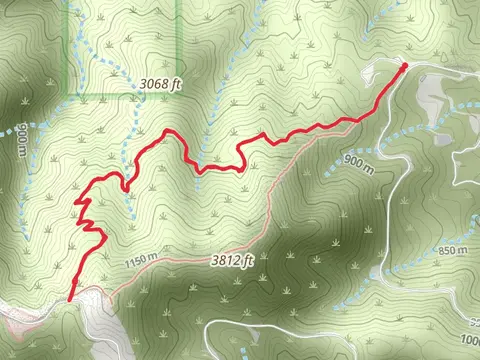 Bear Divide Trail