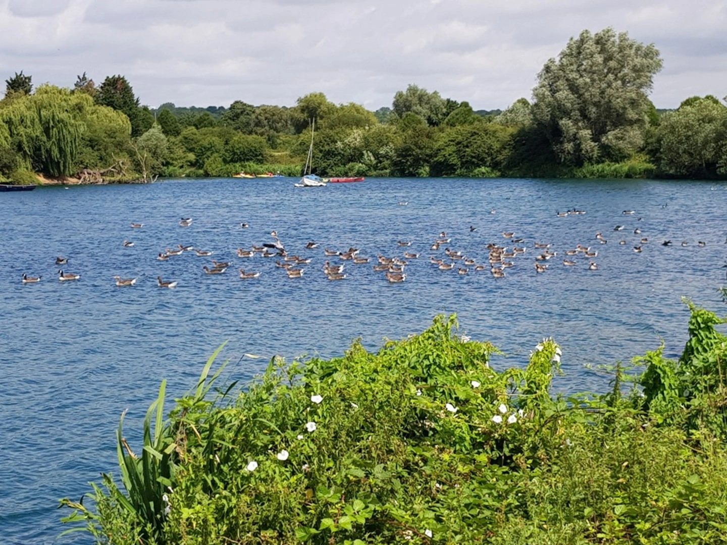 An image depicting the trail Fairlop Waters Country Park and its surrounding area.